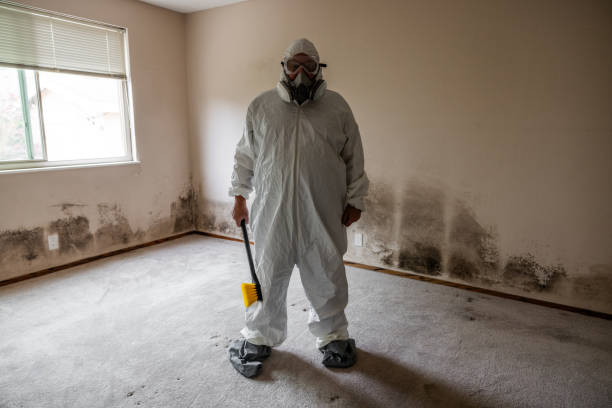 Best Forensic Mold Investigation  in Shepherd, MI